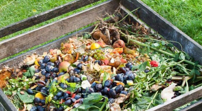 Café compost à Saint-Félix