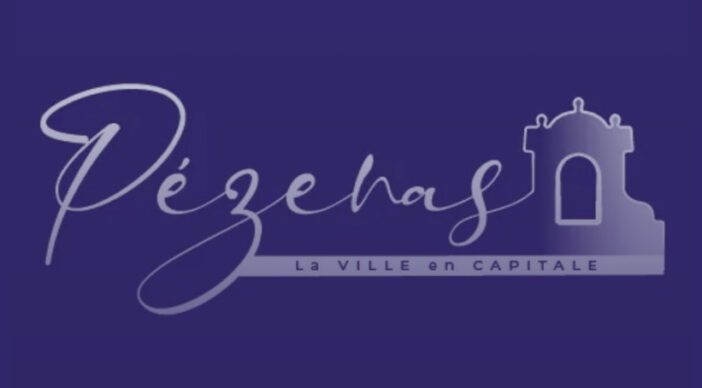 Les DEEE : késako ? Intervention durant le festival du jeu vidéo et du numérique